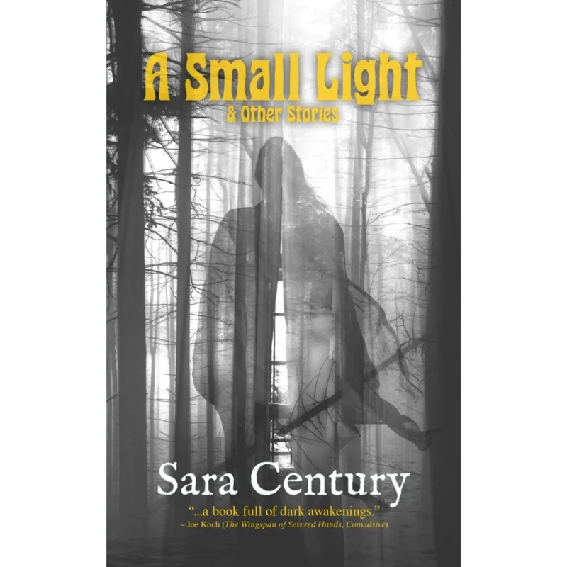 A Small Light & Other Stories by Sara Century